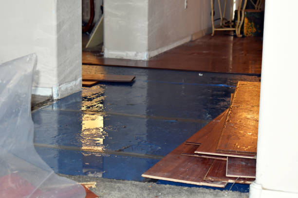 Professional Basement Water Removal technician working in Oakboro, NC